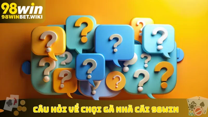 Câu hỏi về chọi gà nhà cái 98win